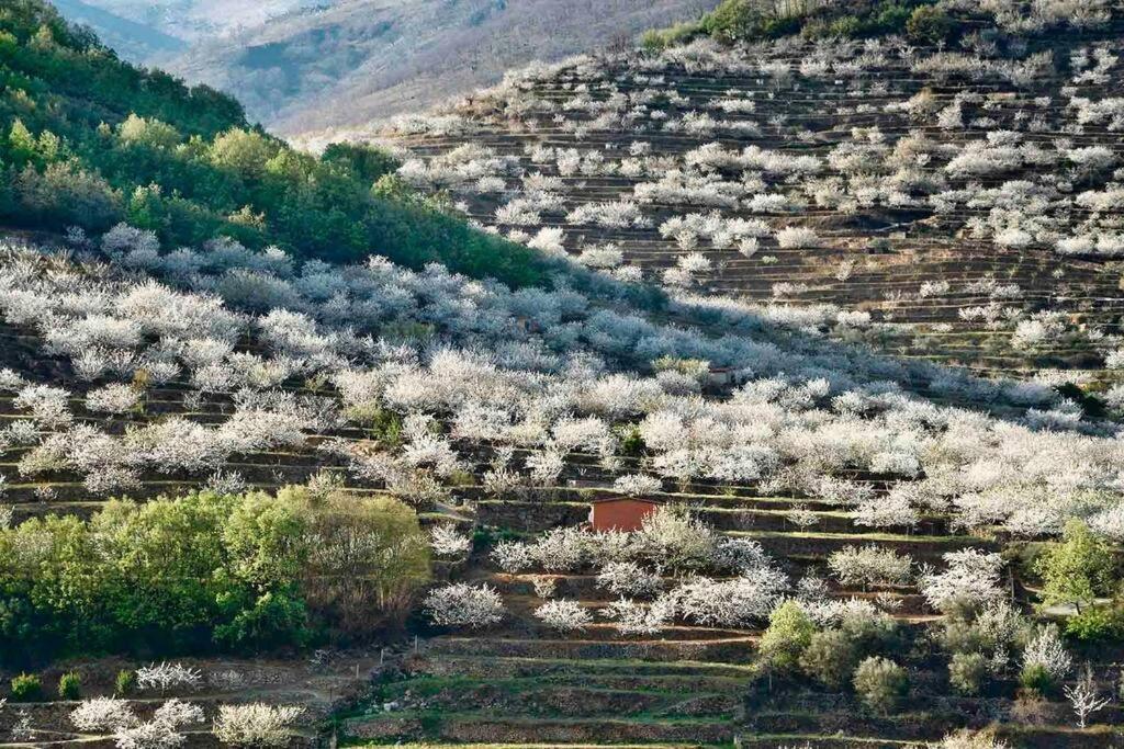 Apartamento Rural Se De Un Lugar El Torno  Dış mekan fotoğraf