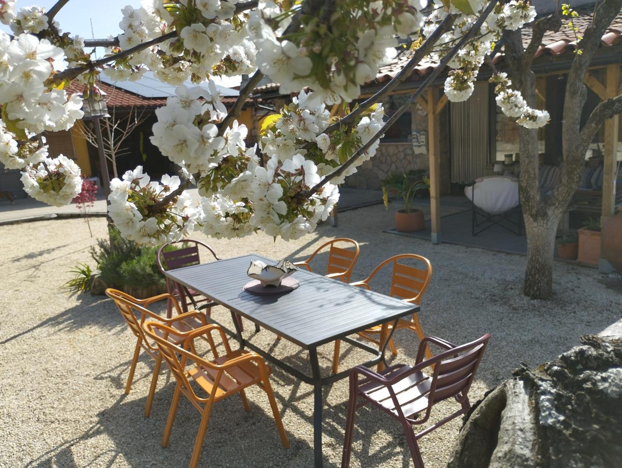 Apartamento Rural Se De Un Lugar El Torno  Dış mekan fotoğraf
